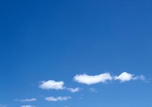 品川で見つける安心の納骨堂選び：供養の方法とメリットを徹底解説