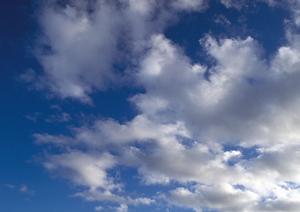 焼津市における小規模家族葬の最適会場：富士葬祭焼津中央の特徴とサービス内容