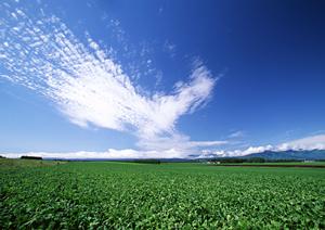 静岡市で選ばれる信頼の葬儀サービス：富士葬祭静岡の特徴と店舗情報