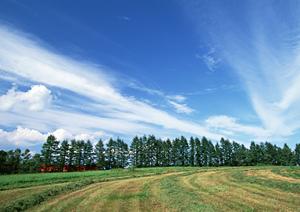 磐田市大原の家族葬・斎場【富士葬祭 大原】の特徴と安心の葬儀サポート