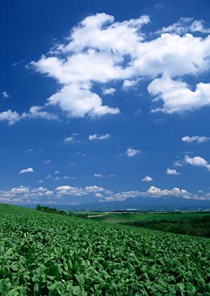 静岡県浜松市に新しい家族葬の専門ホール「家族葬のタクセル豊町」2024年6月オープン