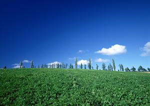 静岡市の家族葬・葬儀場なら富士葬祭清水有東坂｜高級感あふれる館内と信頼のサポート