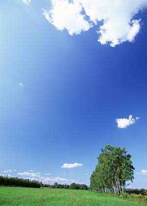 403 Forbiddenエラーの原因と解決策：ウェブサイト閲覧時に直面するアクセス制限の理解と対処方法