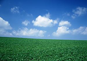 静岡市の家族葬に最適な葬儀場【富士葬祭 折戸】の特徴と利用案内