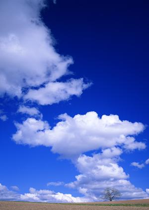 静岡県菊川市堀之内に位置する【富士葬祭 菊川】：家族葬や直葬など多彩な葬儀プランと安心サポートのご案内