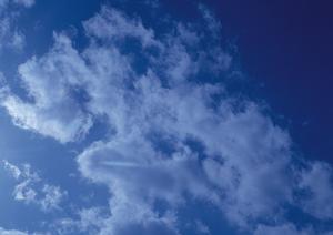 静岡県の家族葬・火葬・斎場を低価格で提供する「家族葬のタクセル」の全て